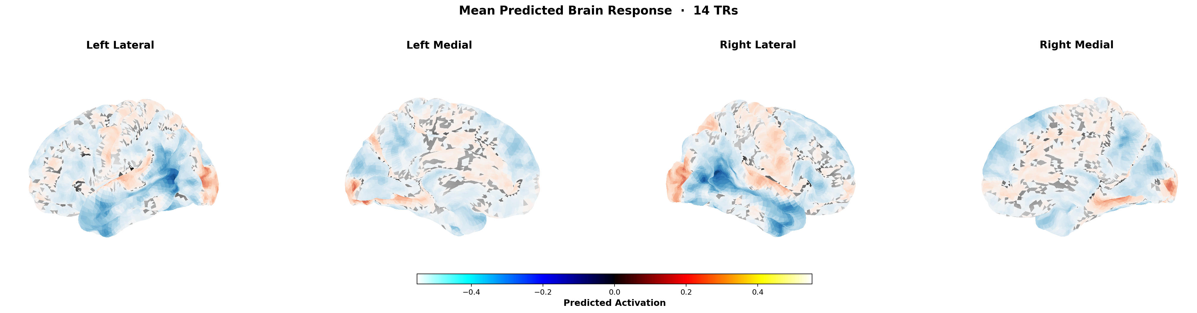 Mean predicted cortical activation map from TRIBE v2