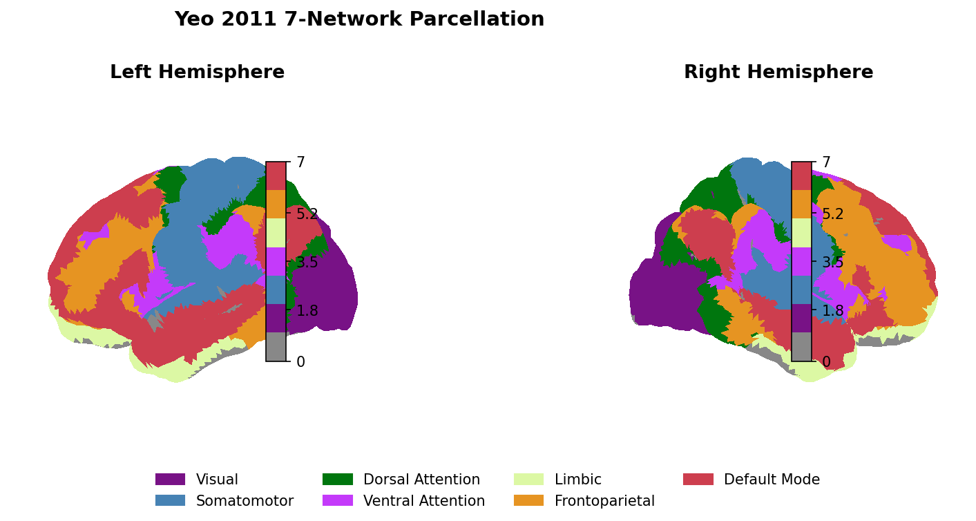 Yeo 7-network parcellation on the cortical surface